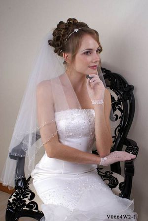 Wedding veil V0664W2-1
